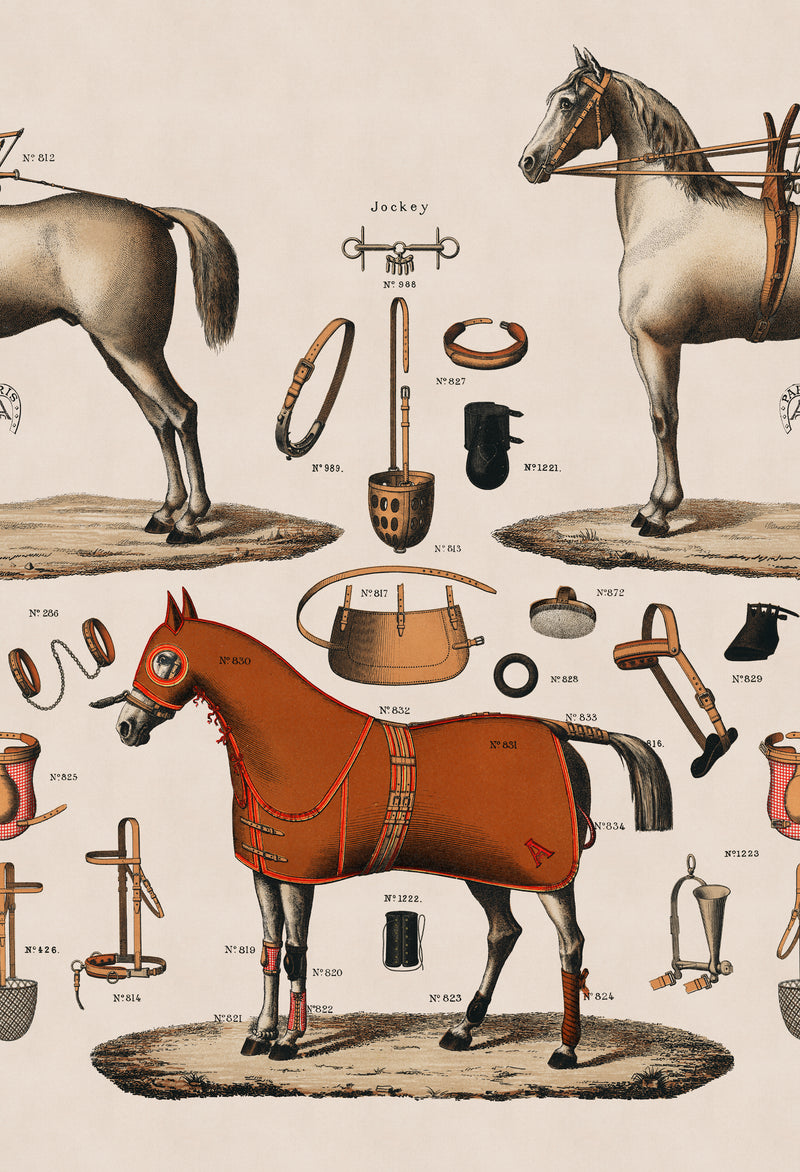17-09-030-04/P Wallpaper sample  Jockey Vintage