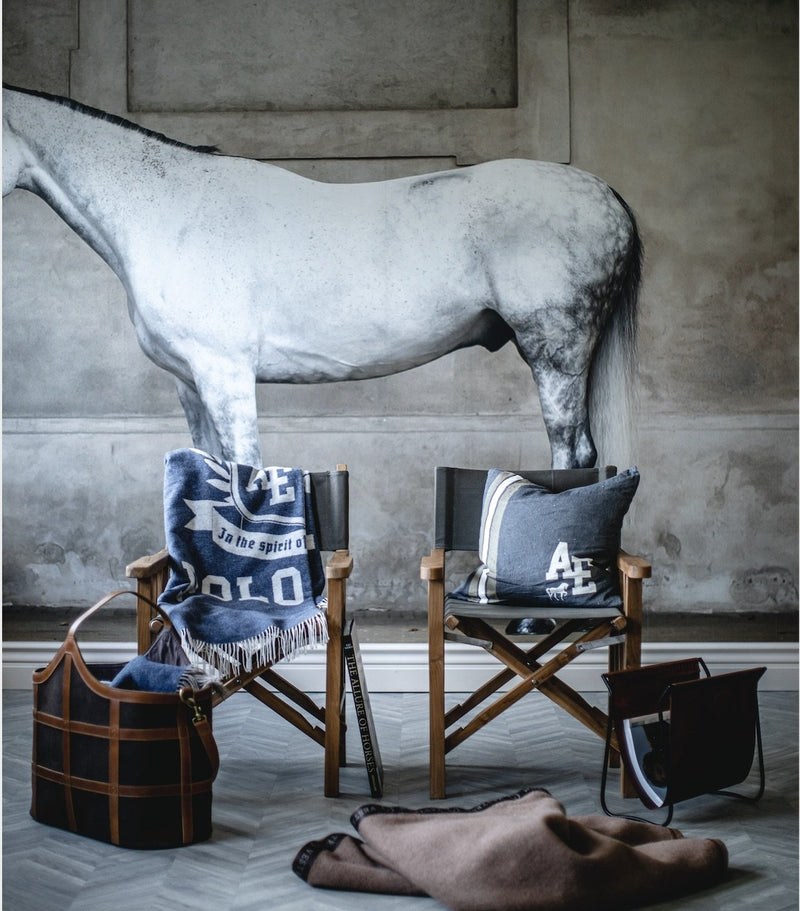 AE Polo Navy Cushion
